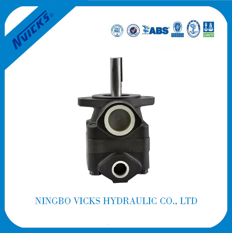 Super Lowest Price V20 Series Single Pump Wholesale to Madagascar detail pictures
