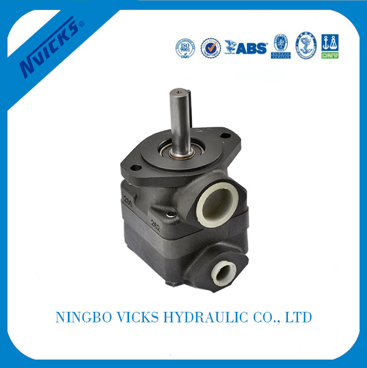 Super Lowest Price V20 Series Single Pump Wholesale to Madagascar detail pictures