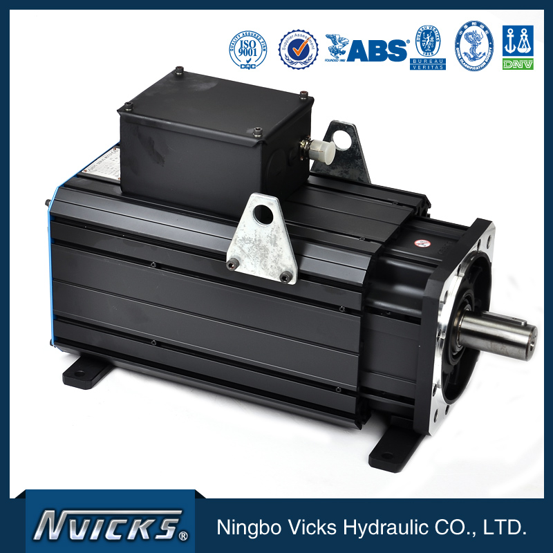 High definition Vicks Servo Motor for Ukraine Factories detail pictures
